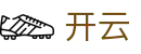 开云·体育（kaiyun）官方网站-kaiyun sports